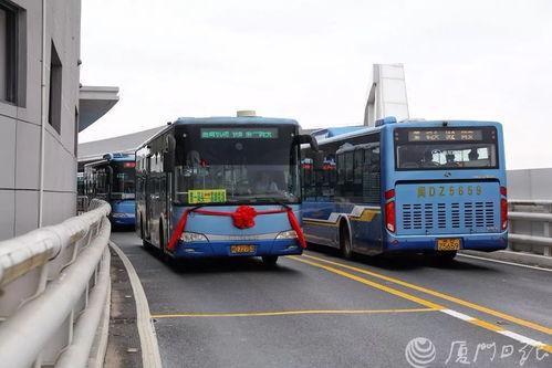 厦门brt最新爆料,揭秘线路调整与未来规划